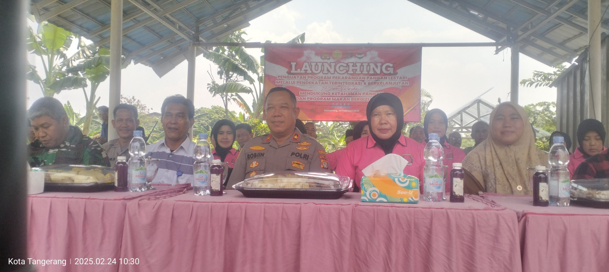 IMG20250224103050